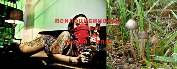 mix Алексин