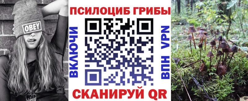 продажа наркотиков  Советский  блэк спрут маркетплейс  Галлюциногенные грибы мухоморы 